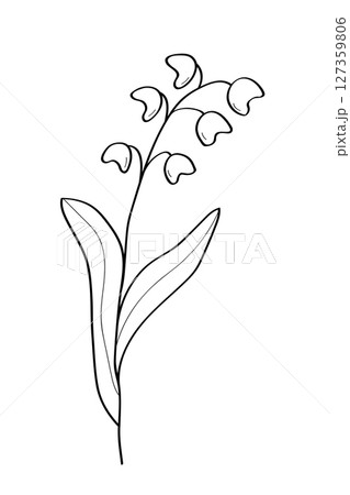 Sketch of a lily wildflower. Vector illustration of a spring flower icon. Isolate on white. 127359806