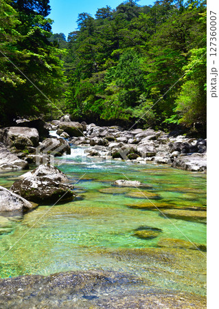 屋久島　ヤクスギランド　荒川 127360007