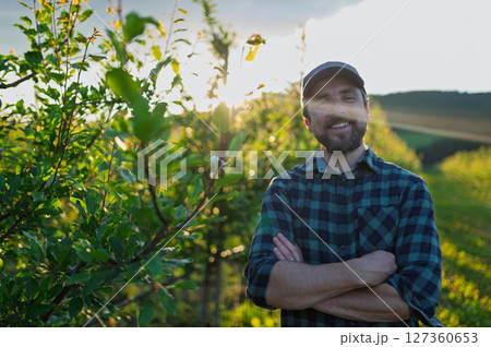 A mature farmer standing in the middle of orchard at sunset. Copy space. 127360653