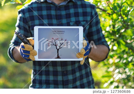 Farmer with tablet standing outdoors in orchard, learning how to trim a tree. 127360686