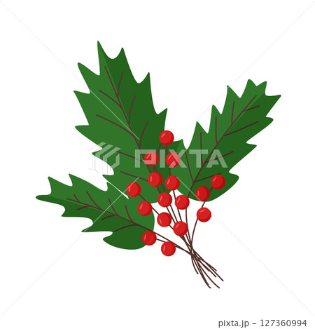 Christmas branches and berries, vector illustration, viburnum leaves background. Christmas branches and berries, vector illustration, viburnum leaves background. 127360994
