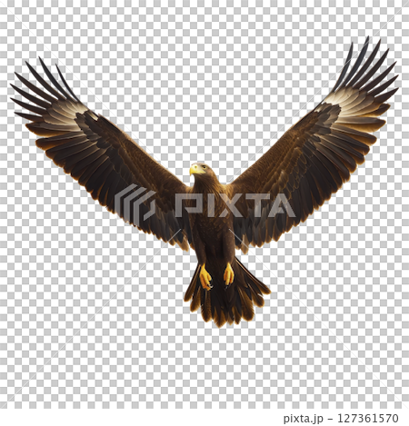 Majestic eagle with outstretched wings soars gracefully against clear sky, showcasing its powerful presence and keen gaze Majestic eagle with outstretched wings soars gracefully against clear sky, showcasing its powerful presence and keen gaze 127361570