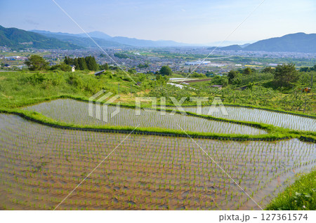 善光寺平と姨捨の棚田【千曲市】 善光寺平と姨捨の棚田【千曲市】 127361574