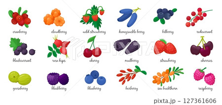 Cartoon fresh berries. Isolated berry, seasonal vitamin food. Blackcurrant cherry raspberry bilberry blueberry gooseberry. Neoteric vector clipart 127361606