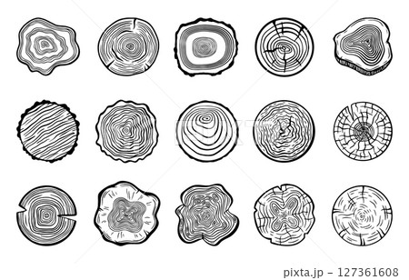 Tree circles. Wood slices with rings, cutting woods. Nature timber textures in circular shapes. Trees trunks materials, neoteric doodle vector set 127361608
