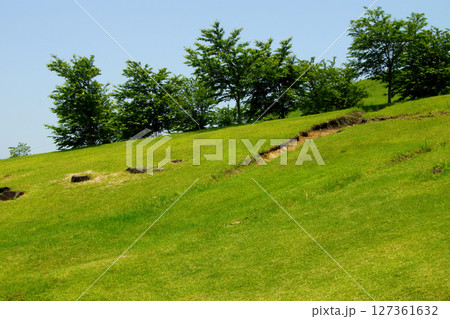 阿蘇郡西原村の観光スポット「俵山交流館 萌の里」 阿蘇郡西原村の観光スポット「俵山交流館 萌の里」 127361632