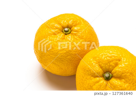 柚子 127361640