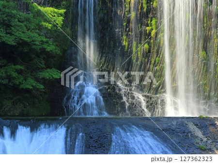 龍門の滝(大分県九重町) 龍門の滝(大分県九重町) 127362323