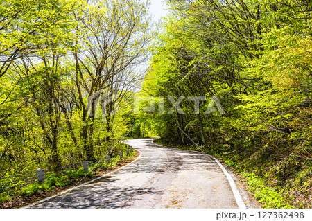 【新潟県_大佐渡スカイライン】佐渡全島を俯瞰できる大パノラマ、遠くには本土 127362498