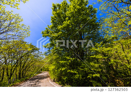 【新潟県_大佐渡スカイライン】佐渡全島を俯瞰できる大パノラマ、遠くには本土 【新潟県_大佐渡スカイライン】佐渡全島を俯瞰できる大パノラマ、遠くには本土 127362503
