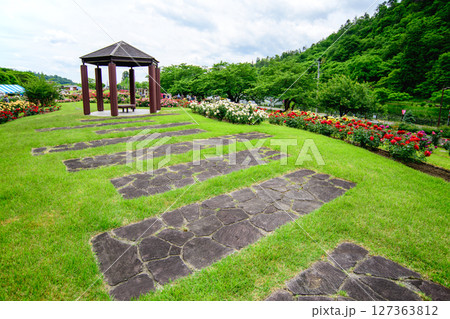 美しい薔薇咲き誇る 東沢バラ公園 山形県 美しい薔薇咲き誇る 東沢バラ公園 山形県 127363812