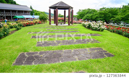 美しい薔薇咲き誇る 東沢バラ公園 山形県 美しい薔薇咲き誇る 東沢バラ公園 山形県 127363844