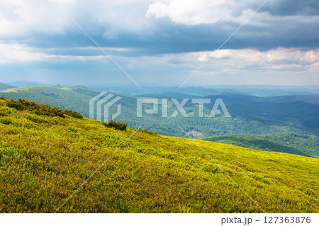 beautiful view in to the valley from the mountain top. scenic landscape with wide meadow in highlands of ukraine. sunny weather in summer with cloudy sky 127363876