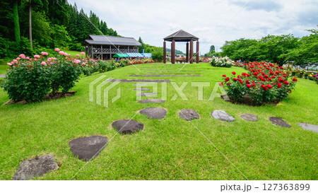 美しい薔薇咲き誇る 東沢バラ公園 山形県 美しい薔薇咲き誇る 東沢バラ公園 山形県 127363899