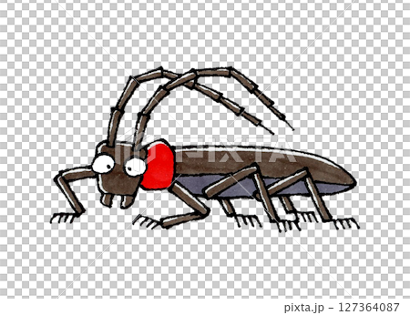 Kubia Cutlet Beetle 127364087