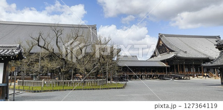 西本願寺の御影堂と阿弥陀堂 西本願寺の御影堂と阿弥陀堂 127364119