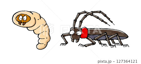 クビアカツヤカミキリと幼虫 クビアカツヤカミキリと幼虫 127364121