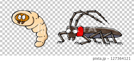 紅頸長角甲蟲及其幼蟲 127364121