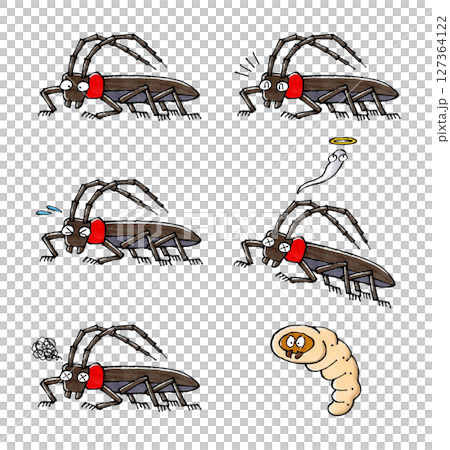 クビアカツヤカミキリセット 127364122