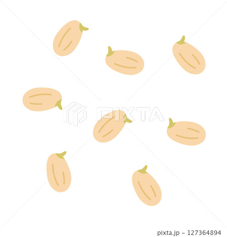 発芽玄米の粒が散らばったイラスト 発芽玄米の粒が散らばったイラスト 127364894