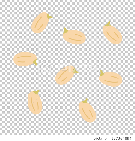 発芽玄米の粒が散らばったイラスト 発芽玄米の粒が散らばったイラスト 127364894