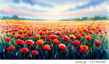 Poppy Field Under A Summer Blue Sky Watercolor Painting 127365005