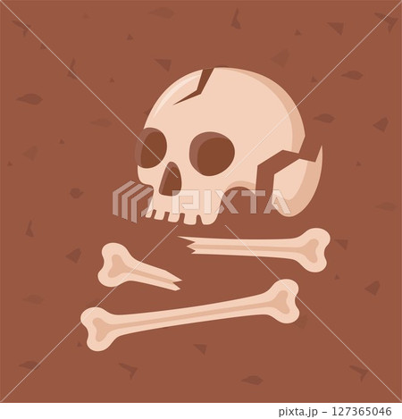 Human skull with bones, teeth. Archaeological find. Historical value. Image for books, articles, posters, archeology, history of past, excavations presentations. Vector 127365046