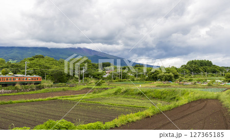 115系湘南色御代田駅 127365185
