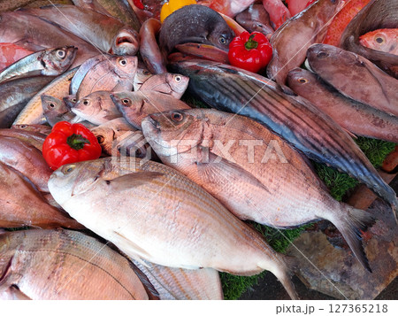 Essaouira fish market, Morocco 127365218