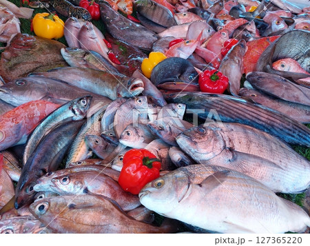 Essaouira fish market, Morocco 127365220