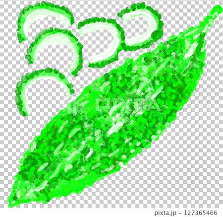 苦瓜的插圖 127365466