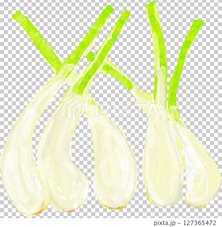 孤島的插圖 127365472