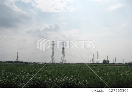 伊勢崎市で野菜収穫(2013.6.25) 354号バイパスが畑を横切る 水無月のワイドな風景 127365503