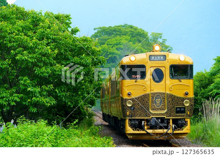 新緑の中を進む或る列車 新緑の中を進む或る列車 127365635