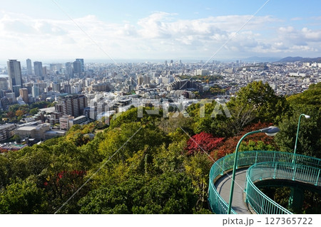 神戸市の展望スポット　ビーナスブリッジ 127365722