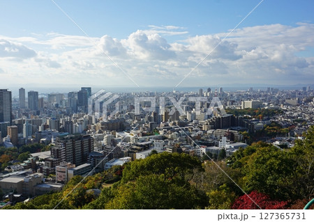 神戸市の展望スポット　ビーナスブリッジからの眺め 127365731