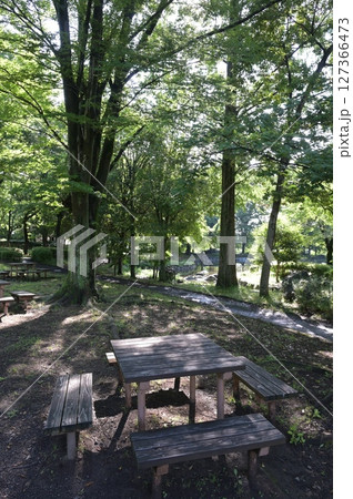 緑豊かな公園のベンチ 緑豊かな公園のベンチ 127366473