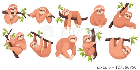 Cartoon sloths. Cute sloth lazy animal sleep on tree, mom with baby climb or hanging branch amazon jungle adorable animals poses sleepy happy face, set neat vector illustration Cartoon sloths. Cute sloth lazy animal sleep on tree, mom with baby climb or hanging branch amazon jungle adorable animals poses sleepy happy face, set neat vector illustration 127366750