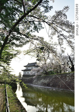 春の新発田城と桜(新潟県) 春の新発田城と桜(新潟県) 127368649