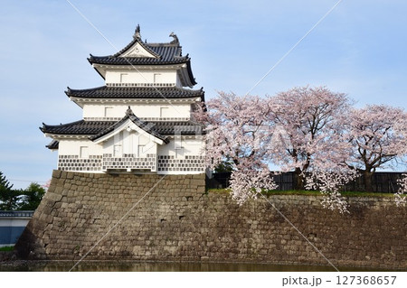 春の新発田城と桜（新潟県） 127368657