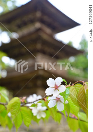 乙宝寺三重塔（新潟県） 127369041