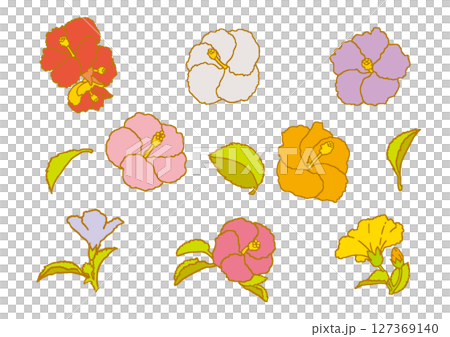 芙蓉花彩色套裝 芙蓉花彩色套裝 127369140