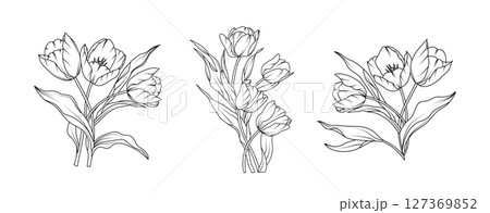 Tulip flower arrangement line art on white background. Silhouette tulip botanical hand drawn element for wedding, invitation frame design, vector illustration 127369852