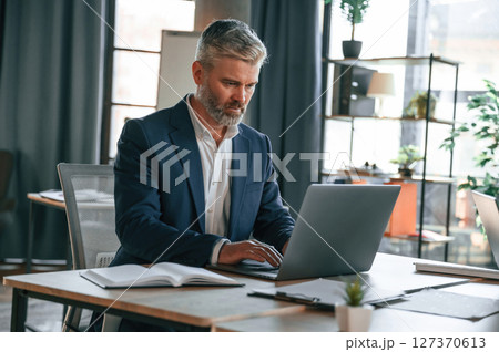 Using laptop. Senior businessman is working in the office Using laptop. Senior businessman is working in the office 127370613