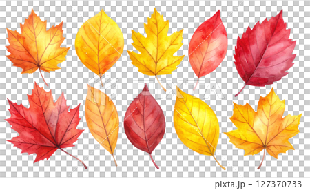 Autumn leaves, leaf set (watercolor texture illustration material) 127370733