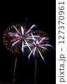 花火 花火 127370961