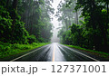 土砂降りの道路～森へ続く山中 127371001