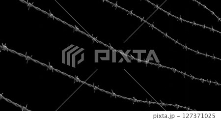 Barbed wire isolated on black background - 3D illustration 127371025