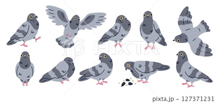 Cartoon comic dove character. Funny bird mascot in different poses, cute city pigeon, pecks at seeds, flying, sleeping, doodle style, freedom and peace character garish vector isolated set 127371231