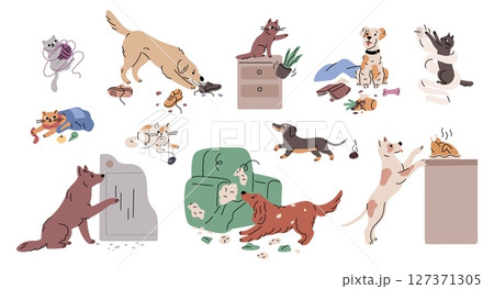 Pets bad behavior. Naughty cats and dogs tearing up furniture upholstery, gnawing on shoes, break things, making trouble, problems with domestic animals, garish vector cartoon isolated set 127371305
